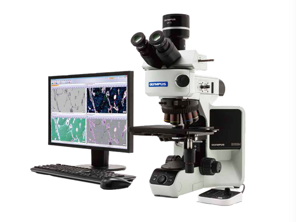 奥林巴斯金相显微镜BX53M BX53M